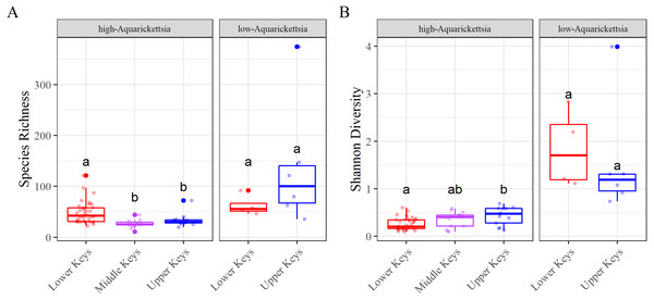 Alpha diversity results measured as species richness and Shannon diversity.
