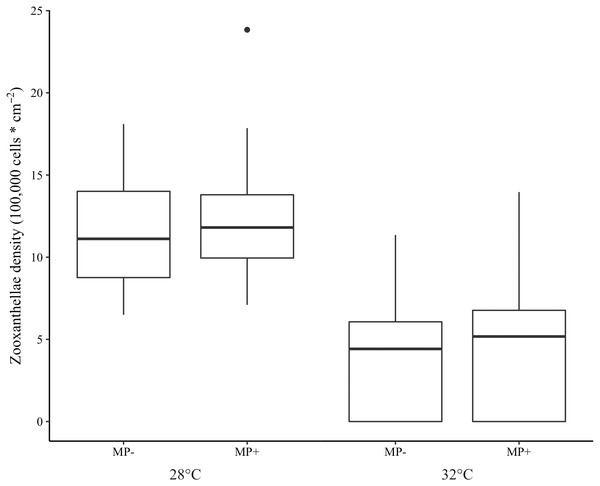 Boxplot of zooxanthellae densities (100,000 cells * cm−2) for each treatment.