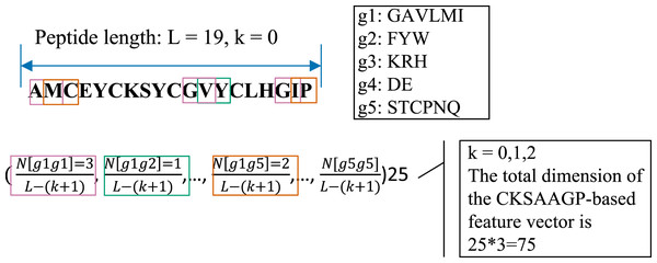 An illustrated example of the CKSAAGP (k = 0) descriptor.