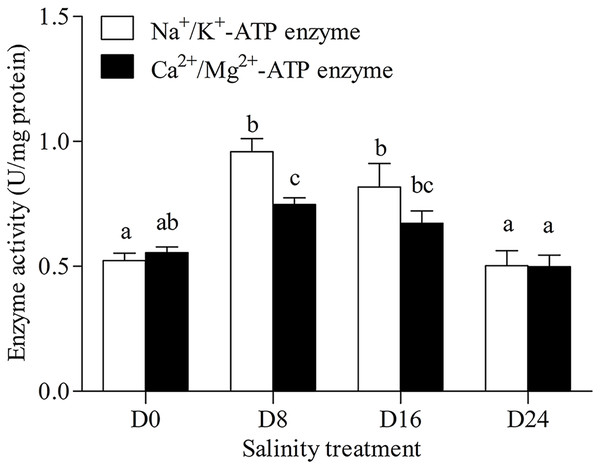Activity assay of Na+/K+-ATPase and Ca2+/Mg2+-ATPase in chum salmon gills under different salinities.