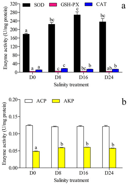 Activity assay of antioxidases and hydrolases.