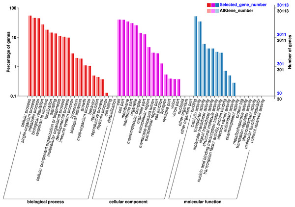 GO annotation of the chum salmon transcriptome.