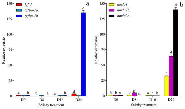 Gene expression.