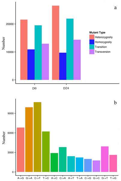 Distribution of SNPs in the chum salmon assembled transcriptome.