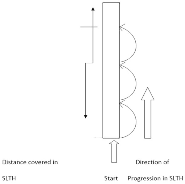 Illustration of single leg triple hop test (SLTHT).