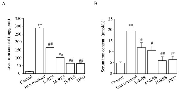 Effects of RES on liver iron (A) and serum iron (B) contents of iron-overloaded mice.