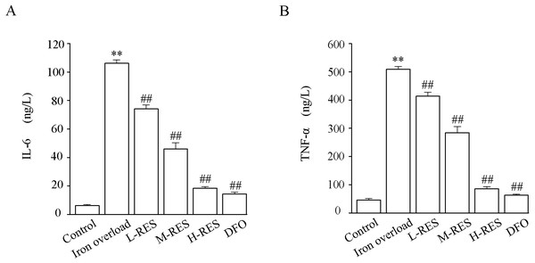 Effects of RES on IL-6 (A) and TNF-α (B) in liver of iron-overload mice.