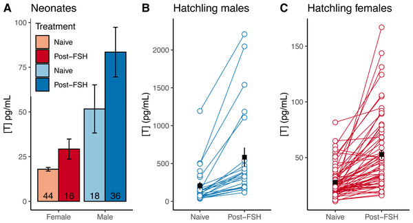 FSH differentially elevates male testosterone in young gopher tortoises (Gopherus polyphemus) collected from wild nests in Georgia in 2018–20.