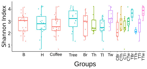 Boxplots showing Shannon Index for Fungi alpha diversity detected on bark samples, according to collection site, plant type, sampled plant part and microsite in two shade-coffee plantations.