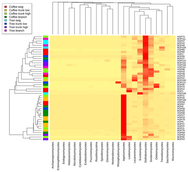 Heatmap showing the frequency of sequences assigned to Fungi Classes in samples taken from coffee bushes and shade trees in two shade-coffee plantations in Soconusco, Chiapas, Mexico.