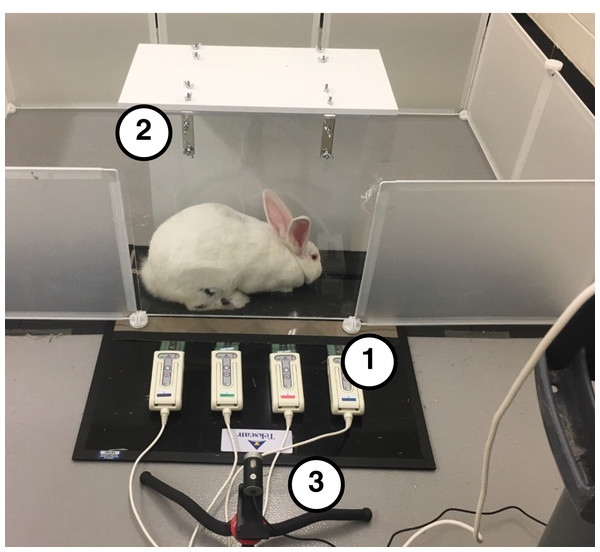 Testing setup used to collect biomechanical data.