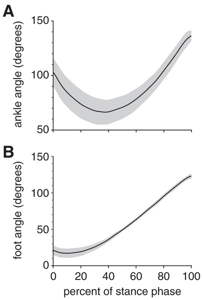 Joint kinematics of the rabbit hindlimb during stance phase.