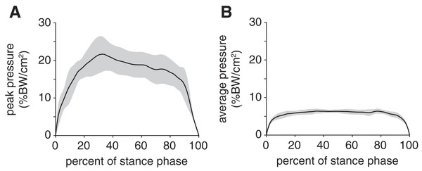 Plantar pressures of the rabbit hindlimb during stance phase.