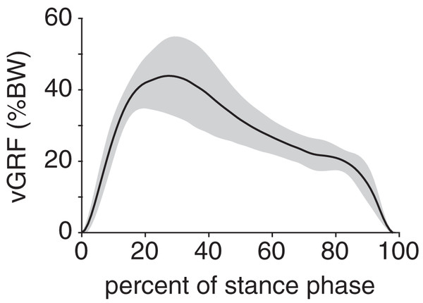 Net vertical ground reaction force (vGRF) of the rabbit hindlimb during stance phase.