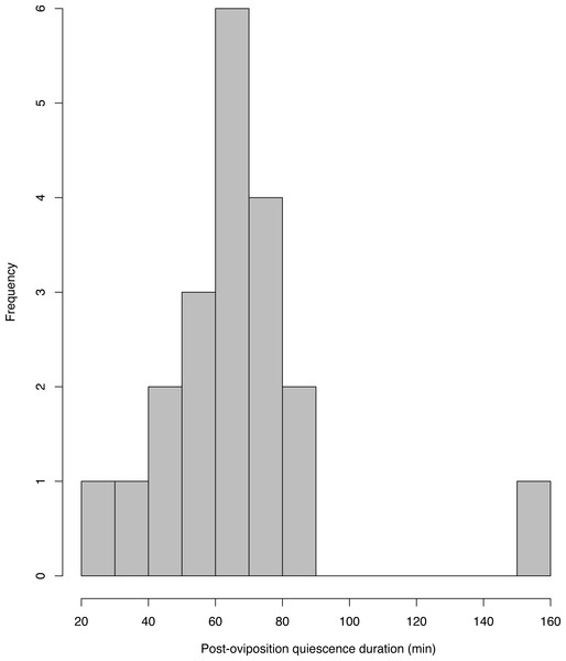 Histogram of the among-individual variation in the post-oviposition quiescence period in E. prosoblepon females.