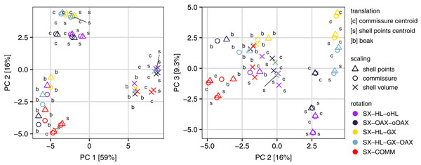 Principal components analysis of the 45 Procrustes superimpositions (represented by points).