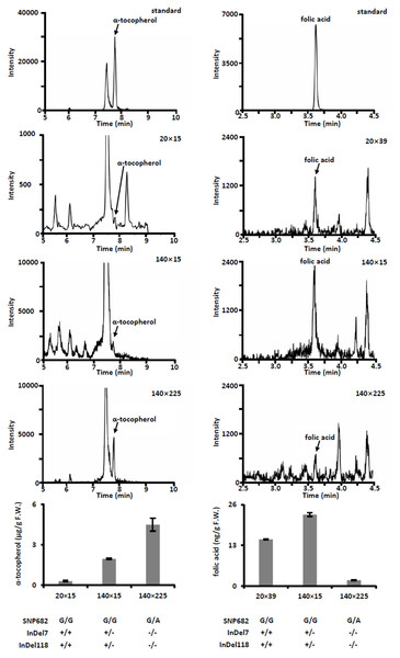 Quantification of free α-tocopherol and folic acid in kernel of hybrids.