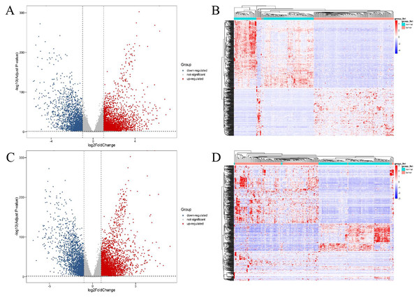 Expression profiles of lncRNAs and mRNAs in breast cancer and adjacent tissues.