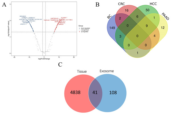 Disease related lncRNAs expression profile in plasma exosomes.