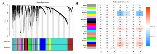 Construction of weighted correlation network.