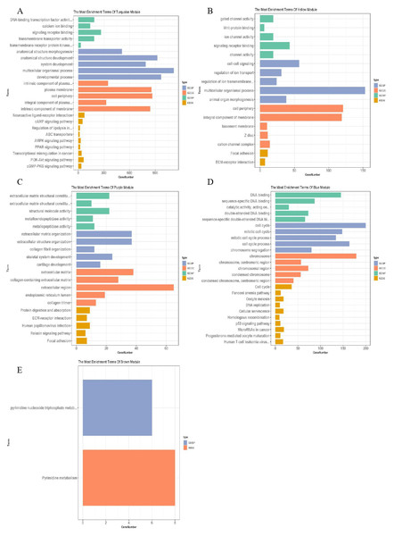 Function enrichment analysis of important modules.