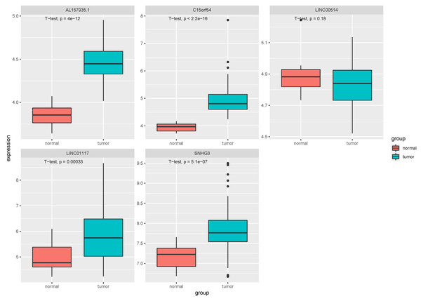 Expression of key lncRNAs in tissue verification data.