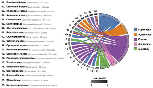 Habitat specialist at Family level of the pedal mucus microbiota of grazers.