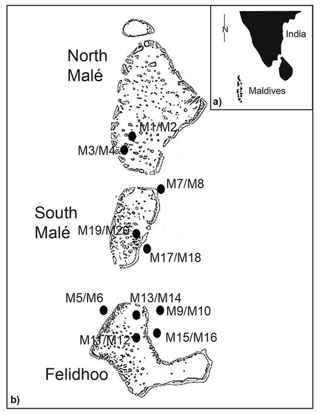 Study area with the locations and codes of the sampling stations (M1 to M20).