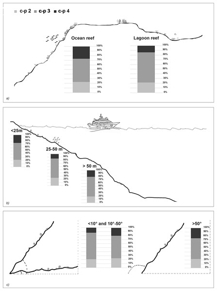 The nematode life strategies (i.e. c-p 2, c-p 3, c-p 4) that characterised each reef typology (A), depth (B), and slope (C).
