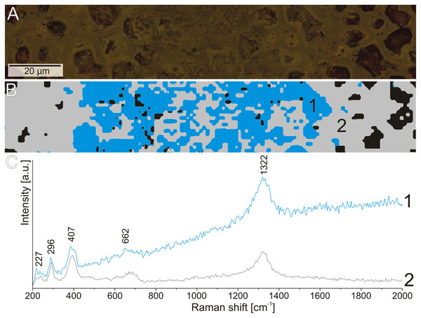 The difference in the fluorescence level in the Raman spectrum of hematite from the structures.