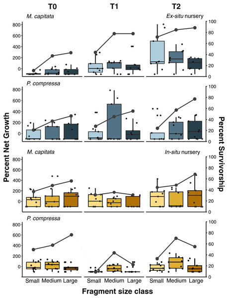 Pyramid assay percent net growth and survivorship of small, medium, and large fragments relative to outplanting time for Montipora capitata and Porites compressa housed at the in-situ and ex-situ nurseries.