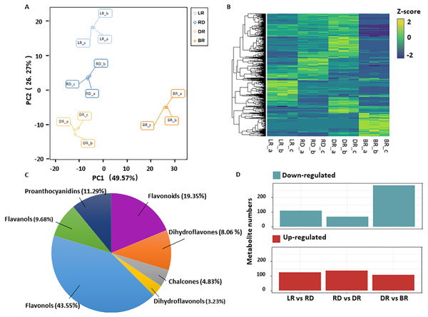 Differential metabolite analysis.