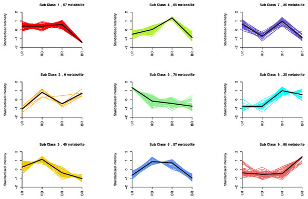 Nine metabolite clusters with distinct change patterns.