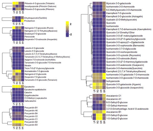 Varying levels of flavonoid metabolites in tubers.