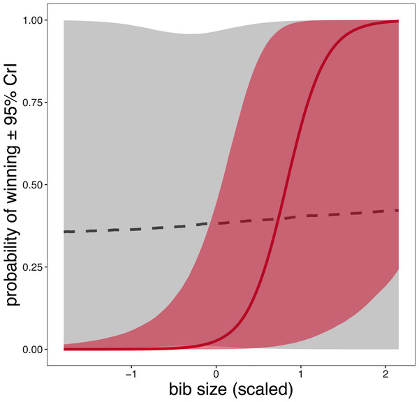 Conditional effects plot about the sex-dependent relationship between bib size and probability of winning in free-living Eurasian tree sparrows (Passer montanus).