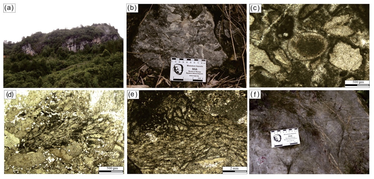 Rare earth element geochemistry of Middle Devonian reefal ...