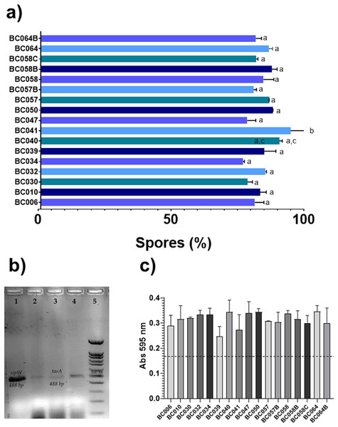 Determination of sporulation rates, biofilm production and genes related to biofilms of B cereus strains from coriander.