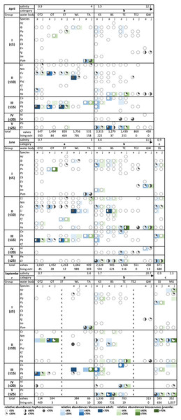 Relative abundances of taphocoenoses (circles) and biocoenoses (colours) of ostracod species, adult (a) and juveniles (j) in April, June, and September.