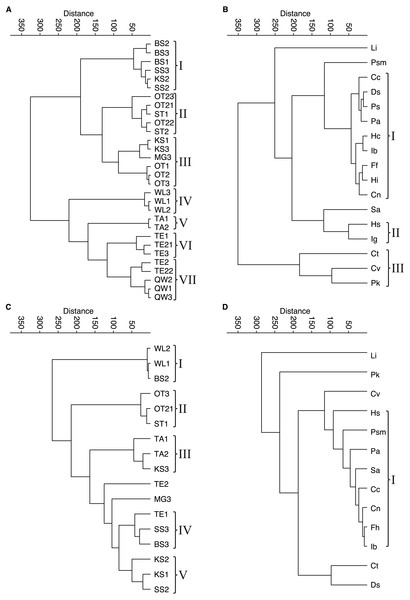 Cluster analyses of water bodies and species for taphocoenoses and biocoenoses.