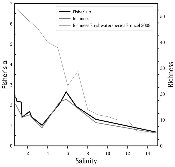 Fisher’s α diversity and richness of cumulated taphocoenoses of all sampled month of the water bodies at Mansfeld area in comparison with richness of freshwater species in waterbodies in the catchment of the Baltic Sea Frenzel (2009).