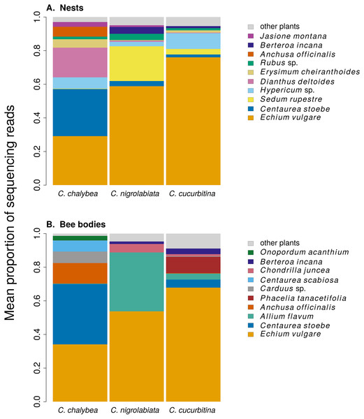 Overall pollen composition of samples from nests and bodies of the three Ceratina species.