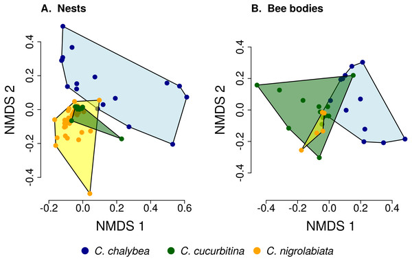 Similarity of pollen composition in individual nests within and among the three Ceratina species.