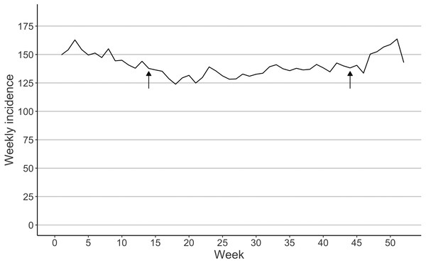Seasonal variation interpreted as the mean incidence of femur fractures per week in Finland between 1997 and 2020.