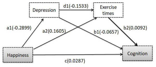 Depression and exercise times examined as mediators in the association between happiness and cognition.