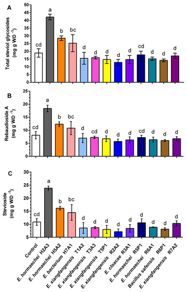 Content of total steviol glycosides (A), stevioside (B) and rebaudioside A (C) in Stevia rebaudiana leaves of noninoculated (control) and inoculated plants with endophytic bacteria.