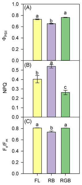 PSII photochemistry of ‘Microtom’ plants under different light quality regimes.