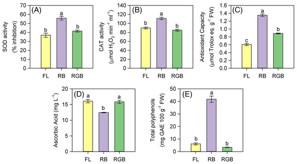 SOD and CAT activity, antioxidant capacity, ascorbic acid concentration, and total polyphenols in fruits of ‘Microtom’ plants grown under white fluorescent (FL), red-blue (RB) and red-green-blue (RGB) light regimes.