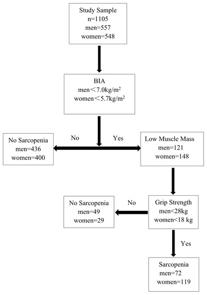 Application of AWGS 2019 algorithm for the case finding of sarcopenia.
