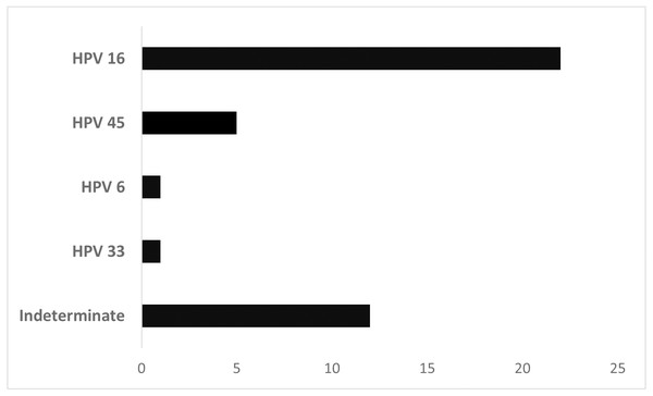 Distribution of laryngeal cancer patients (n = 41) stratified by HPV type.