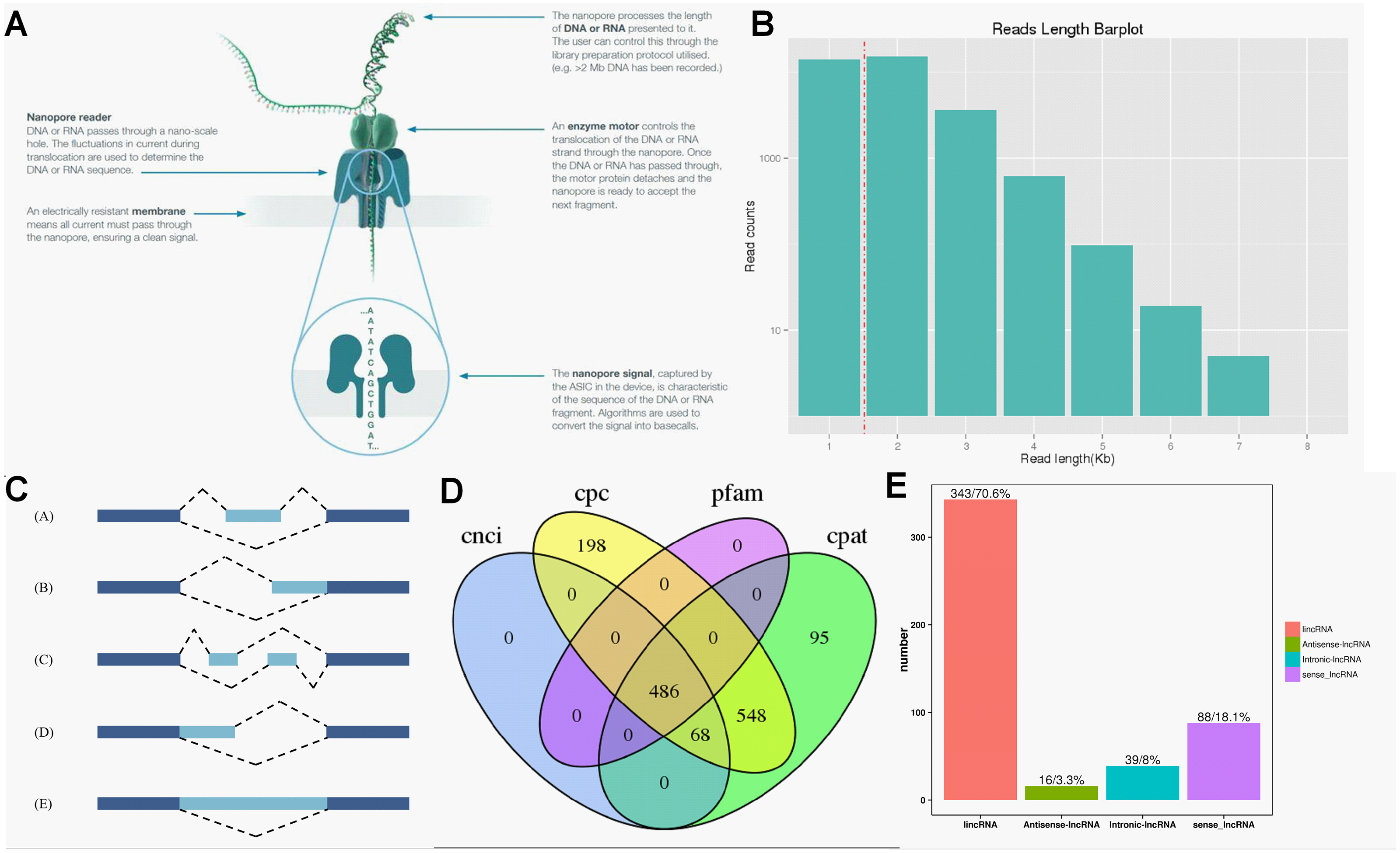 Frontiers  Transcriptome analysis revealed differentially